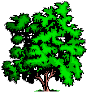 arbrounet